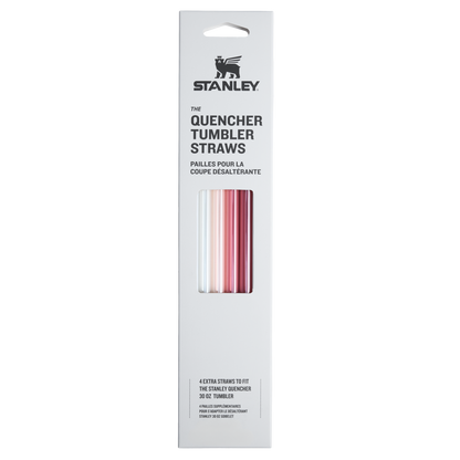 Adventure Quencher Travel Tumbler Straws | 4-Pack